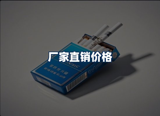 专业团队办公环境